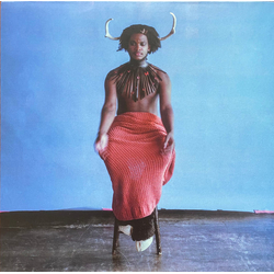 Shamir (2) Heterosexuality Vinyl LP USED