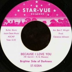 Brighter Side Of Darkness Because I Love You / Oh Baby Vinyl 7" USED