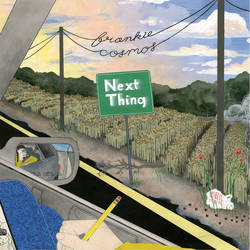 Frankie Cosmos Next Thing Vinyl LP USED