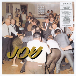 Idles Joy As An Act Of Resistance Vinyl LP USED
