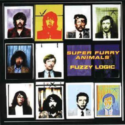 Super Furry Animals Fuzzy Logic Vinyl LP USED