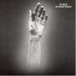 The Afghan Whigs Up In It Vinyl LP USED