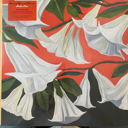 Danny George Wilson Another Place Vinyl LP USED