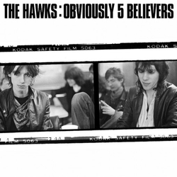 The Hawks UK Obviously 5 Believers Vinyl LP USED