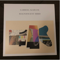 Gabriel Kahane Magnificent Bird Vinyl LP USED