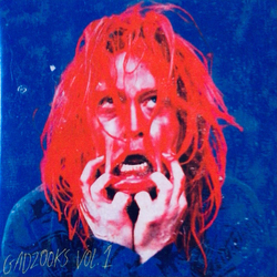Caleb Landry Jones Gadzooks Vol. 1 Vinyl LP USED