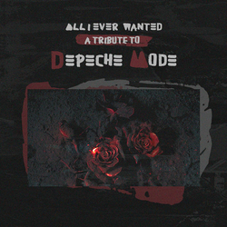 Various All I Ever Wanted - A Tribute To Depeche Mode Vinyl LP USED