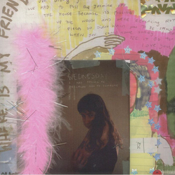 Wednesday (10) I Was Trying To Describe You To Someone Vinyl LP USED