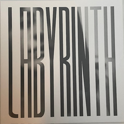 Heather Woods Broderick Labyrinth Vinyl LP USED