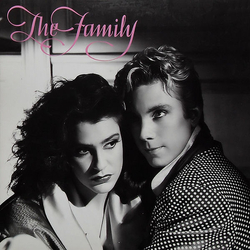 The Family US The Family Vinyl LP USED