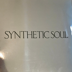 Chiiild Synthetic Soul Vinyl LP USED