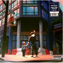 Skyzoo All The Brilliant Things Vinyl LP USED