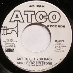 Sons of Robin Stone Got To Get You Back Vinyl 7" USED