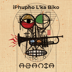 Iphupho L'ka Biko Azania Vinyl LP USED
