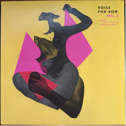 Various Noise For Now Vol. 2 Vinyl LP USED
