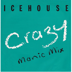 Icehouse Crazy (Manic Mix) Vinyl 12" USED