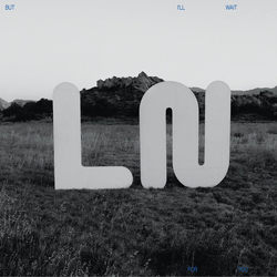 Local Natives But I'll Wait For You Vinyl LP USED