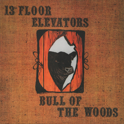 13th Floor Elevators Bull Of The Woods Vinyl LP USED