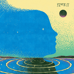 Flock (12) Flock II Vinyl LP USED