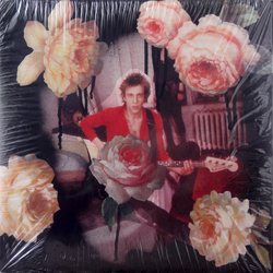 Richard Hell & The Voidoids Destiny Street Repaired Multi Vinyl LP/CD USED