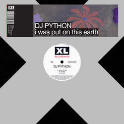 DJ Python I Was Put On This Earth Vinyl 12" USED
