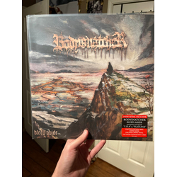Bodysnatcher (3) Bleed-Abide Vinyl LP USED