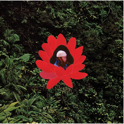 Lionmilk WHEN THE FLOWERS BLOOM Vinyl LP USED