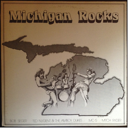 Various Michigan Rocks Vinyl LP USED