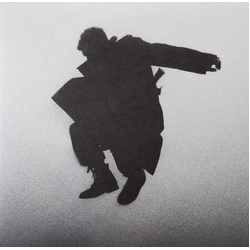 Del Water Gap Chasing The Chimera Vinyl LP USED