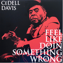 Cedell Davis Feel Like Doin Something Wrong Vinyl LP USED