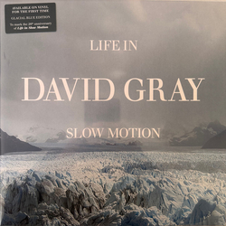 David Gray Life In Slow Motion Vinyl LP USED