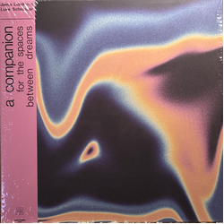 Jamie Lidell / Luke Schneider A Companion For The Spaces Between Dreams Vinyl LP USED