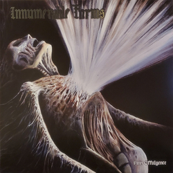 Innumerable Forms Pain Effulgence Vinyl LP USED