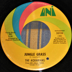 The Aquarians Jungle Grass / Adela Vinyl 7" USED