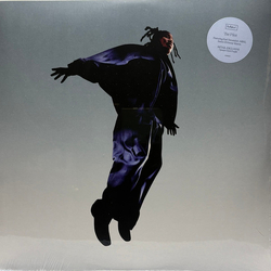 Mavi (12) The Pilot Vinyl LP USED