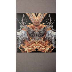 Band Of Skulls Himalayan Vinyl LP USED