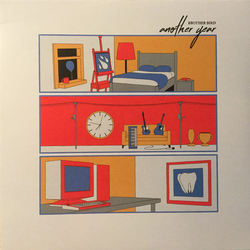 Brother Bird (2) Another Year Vinyl LP USED