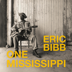 Eric Bibb One Mississippi Vinyl LP USED