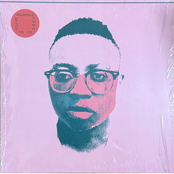 Anjimile You're Free To Go Vinyl LP USED