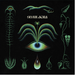 Eric Demuro Simulacra Vinyl LP USED