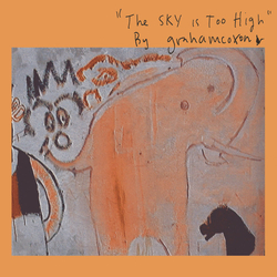 Graham Coxon The Sky Is Too High Vinyl LP USED