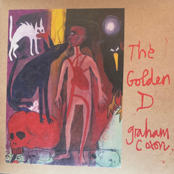 Graham Coxon The Golden D Vinyl LP USED