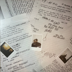 Xxxtentacion 17 Vinyl LP USED