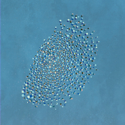 The Expansions Murmuration Vinyl LP USED