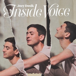Joey Dosik Inside Voice Vinyl LP USED