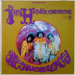 The Jimi Hendrix Experience Are You Experienced? Vinyl LP USED