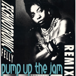 Technotronic / Felly Pump Up The Jam (Remix) Vinyl 12" USED
