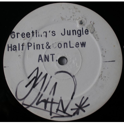 Half Pint Lindon Andrew Roberts / Don Lloydie / Lewi Greeting's Jungle Vinyl 12" USED