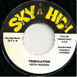 Bim Sherman Tribulation Vinyl 7" USED