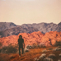 Saba Bucket List Project Vinyl LP USED